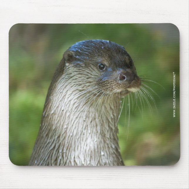 Alfombrilla De Ratón Nutria (Frente)