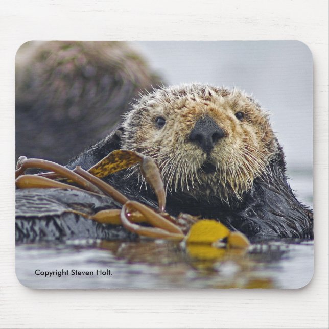 Alfombrilla De Ratón Nutria de mar de California Mousepad (Frente)