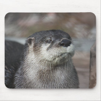 Alfombrilla De Ratón Nutria de río norteamericana Mousepad