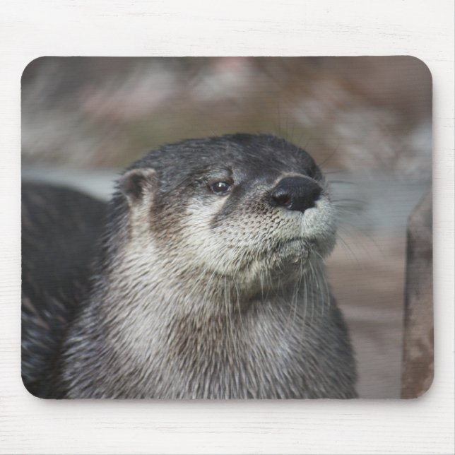 Alfombrilla De Ratón Nutria de río norteamericana Mousepad (Frente)