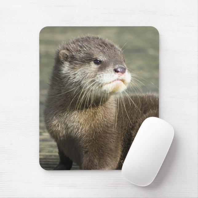  Alfombrilla de ratón - Otter Nutria-Bebé Nutria Bebé Naturaleza  : Productos de Oficina