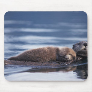 Alfombrilla De Ratón nutria marina, Enhydra lutris lutris
