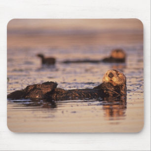 Alfombrilla De Ratón Nutrias de mar, Enhydra lutris 3