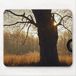 Alfombrilla De Ratón Oak de otoño