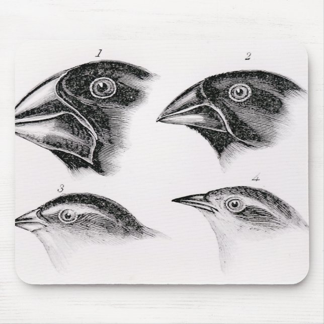 Alfombrilla De Ratón Observaciones del pájaro de Darwin (Frente)