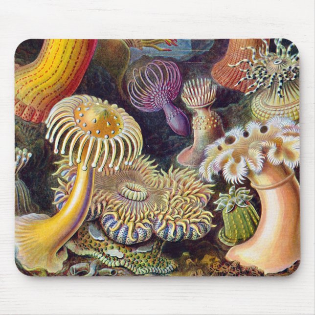 Alfombrilla De Ratón Océano marino Anemone Científico (Frente)