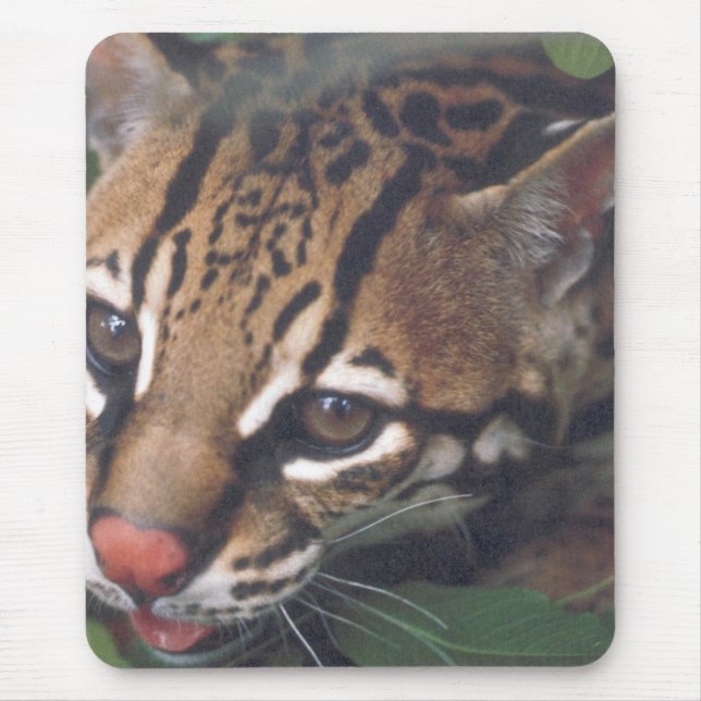 ALFOMBRILLA DE RATÓN OCELOT (Frente)