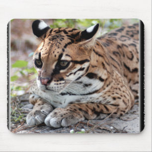 Alfombrilla De Ratón Ocelot 02 11x11