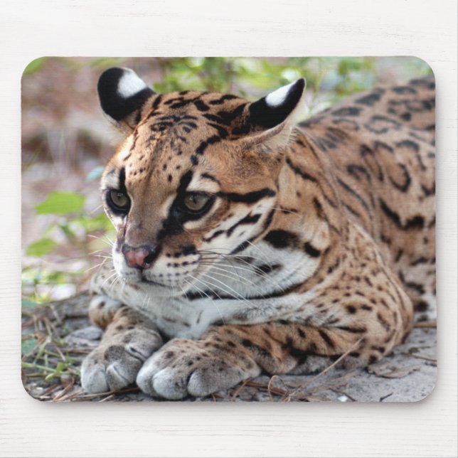 Alfombrilla De Ratón Ocelot 02 9x9 (Frente)