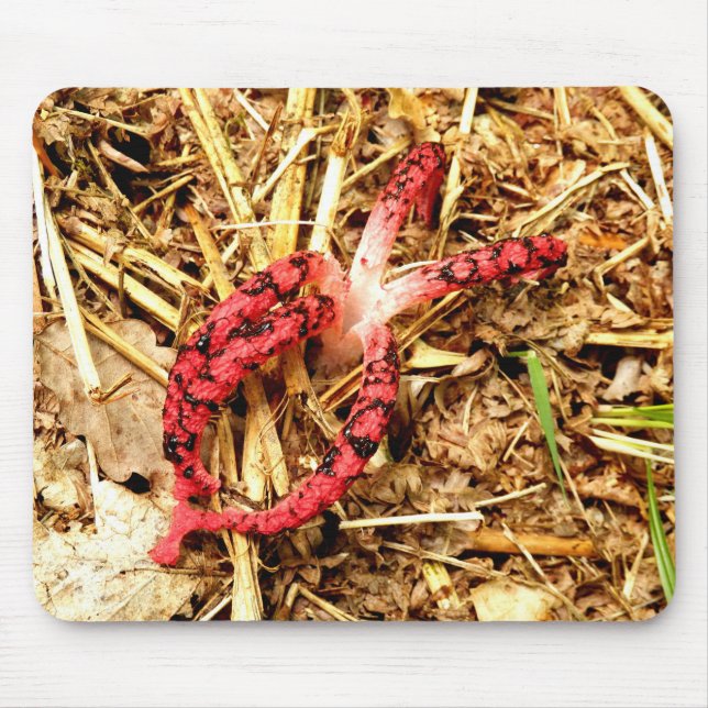 Alfombrilla De Ratón Octopus Stinkhorn Mouse (Frente)