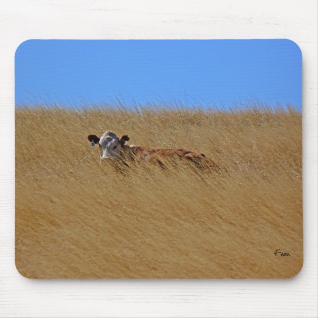 Alfombrilla De Ratón ocultar y buscar (Frente)