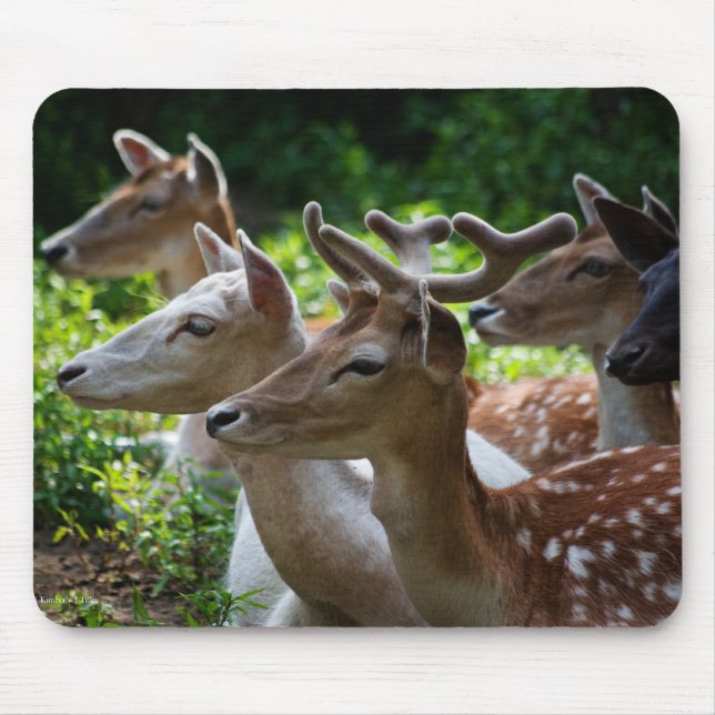 Alfombrilla De Ratón Oí Mousepad (Frente)