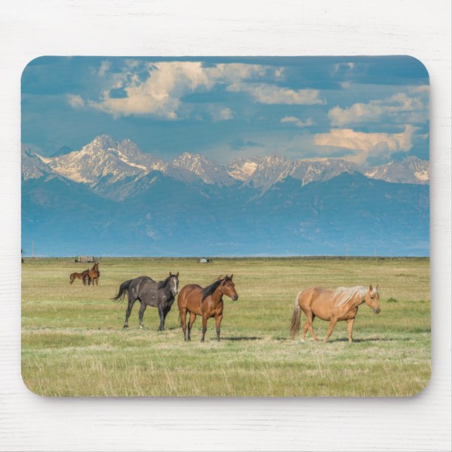 Alfombrilla De Ratón Oído hablar de caballos en Hayfield (Frente)