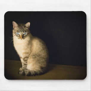 Alfombrilla De Ratón Ojos azul gitano