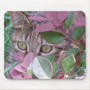 Alfombrilla De Ratón Ojos de gato del resplandor Mousepad