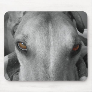 Alfombrilla De Ratón Ojos del galgo