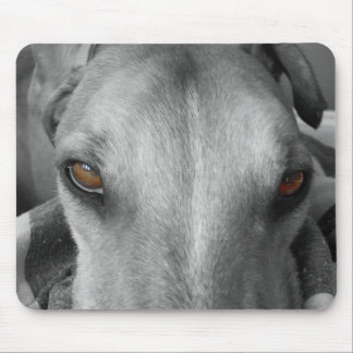 Alfombrilla De Ratón Ojos del galgo