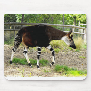 Alfombrilla De Ratón Okapi