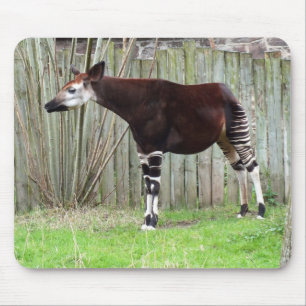 Alfombrilla De Ratón Okapi de pie cerca