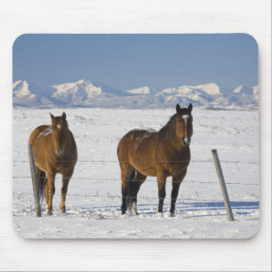 Alfombrilla De Ratón okotoks, Alberta, Canadá