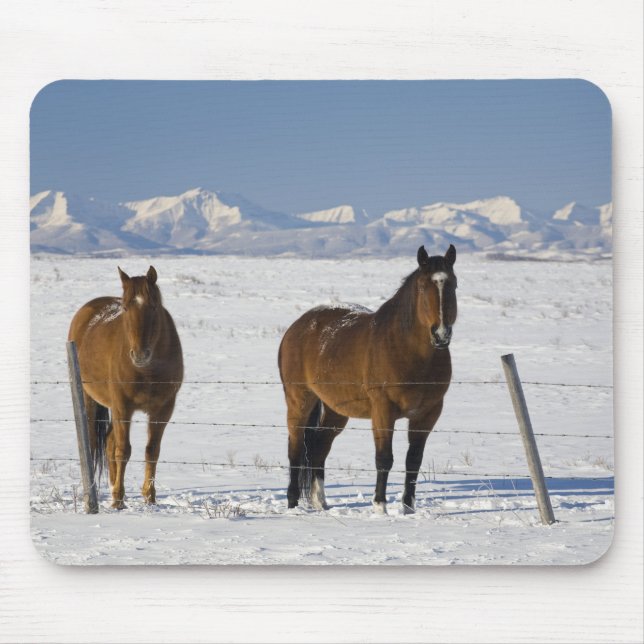 Alfombrilla De Ratón okotoks, alberta, canadá (Frente)