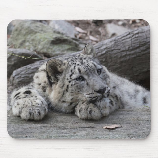 Alfombrilla De Ratón Onza agujereada Cub (Frente)