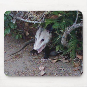 Alfombrilla De Ratón Oposum salvaje