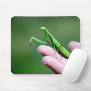 Alfombrilla De Ratón Orando A Mantis En La Mano