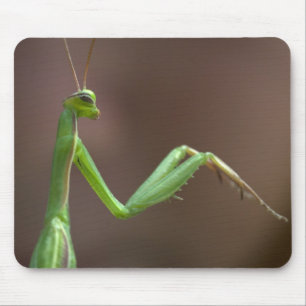 Alfombrilla De Ratón Orando Mantid