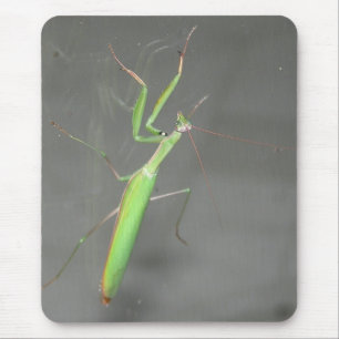 Alfombrilla De Ratón Orando Mantis Mousepad Plus