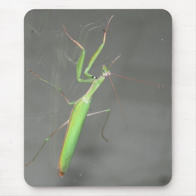 Alfombrilla De Ratón Orando Mantis Mousepad Plus (Frente)