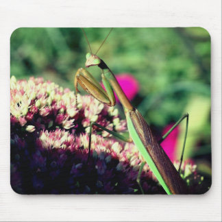 Alfombrilla De Ratón Orando por la naturaleza de Mantis