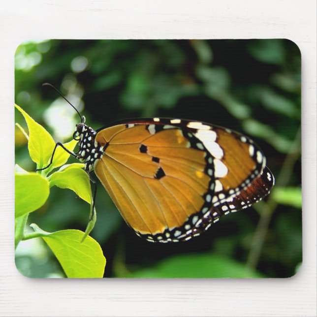 Alfombrilla De Ratón Orange, Black and White Butterfly on Leaf (Frente)