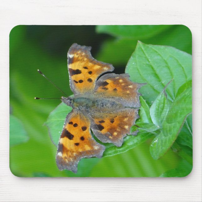 Alfombrilla De Ratón Oranger Schmetterling (Frente)