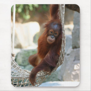 Alfombrilla De Ratón OrangUtan 001