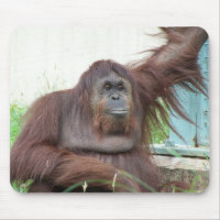Orangután Mousepad