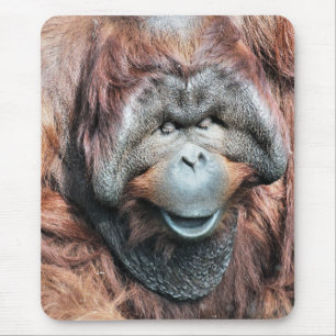 ALFOMBRILLA DE RATÓN ORANGUTANOS