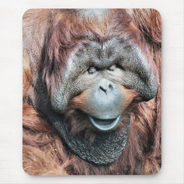 ALFOMBRILLA DE RATÓN ORANGUTANOS (Frente)
