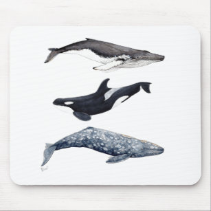 Alfombrilla De Ratón Orca, ballena jorobada y ballena gris
