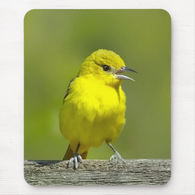 Alfombrilla De Ratón Orchard Oriole - Foto original (Frente)