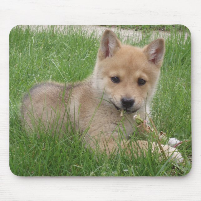 Alfombrilla De Ratón Ordenador lindo Mousepad del perrito (Frente)
