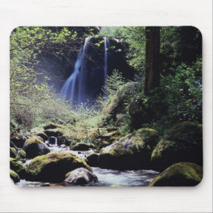 Alfombrilla De Ratón Oregón, Bosque Nacional Siskiyou, Elk Creek