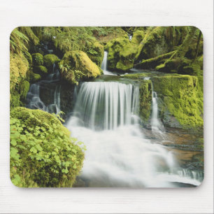 Alfombrilla De Ratón Oregón, Cascada en el bosque nacional Willamette