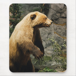 Alfombrilla De Ratón Orgullo