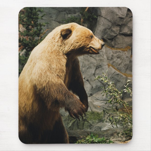 Alfombrilla De Ratón Orgullo (Frente)