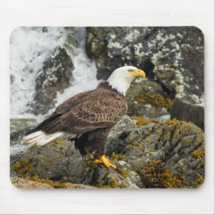 Alfombrilla De Ratón Orgulloso Bald Eagle