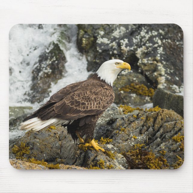 Alfombrilla De Ratón Orgulloso Bald Eagle (Frente)