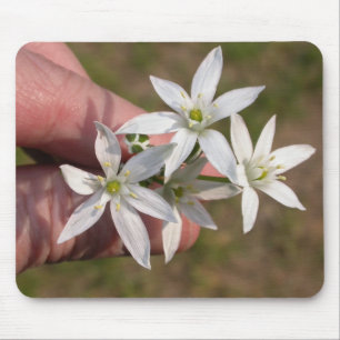 Alfombrilla De Ratón Ornithogalum umbellatum