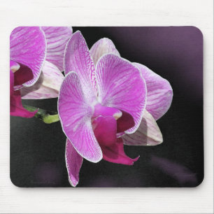 Alfombrilla De Ratón Orquid Phalae Mousepad