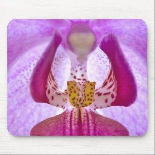 Alfombrilla De Ratón Orquídea